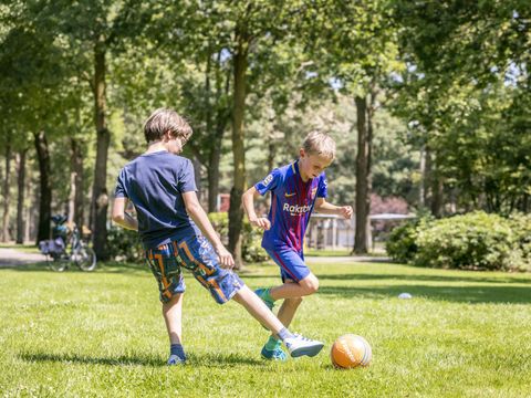 Vakantiepark de Bergen - Camping Sint Anthonis - Image N°53