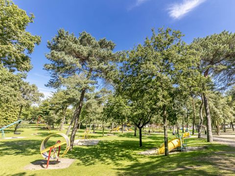 Vakantiepark de Bergen - Camping Sint Anthonis - Image N°20
