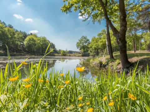 Vakantiepark de Bergen - Camping Sint Anthonis - Image N°49