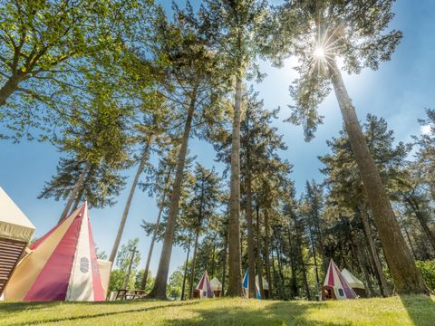 Vakantiepark de Bergen - Camping Sint Anthonis - Image N°43