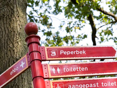 Vakantiepark de Bergen - Camping Sint Anthonis - Image N°75
