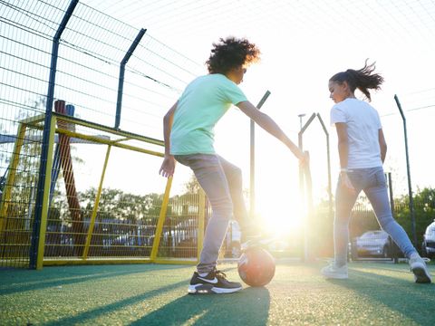 Village vacances Recreatielandgoed De IJsvogel - Camping Barneveld