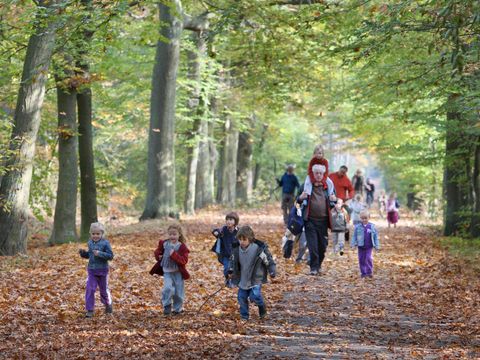 Village vacances Recreatielandgoed De IJsvogel - Camping Barneveld