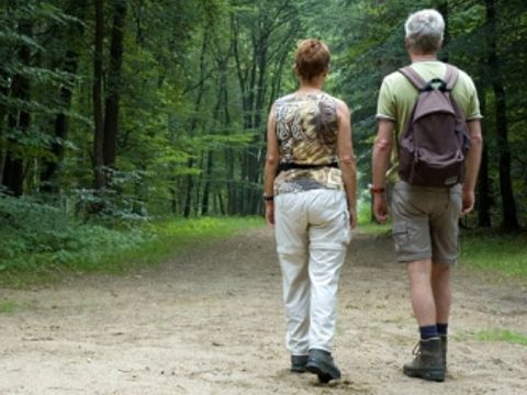 Camping Wilhelm Tell - Camping Limburg Belge