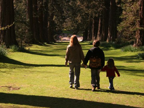 Camping Wilhelm Tell - Camping Limburg Belge