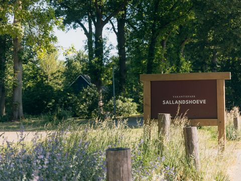 Vakantiepark Sallandshoeve - Camping Raalte - Image N°15