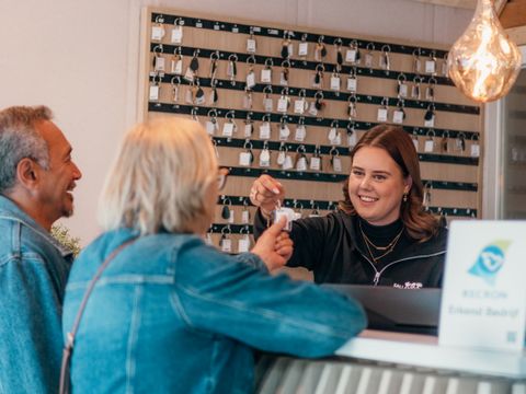 Vakantiepark Sallandshoeve - Camping Raalte - Image N°5