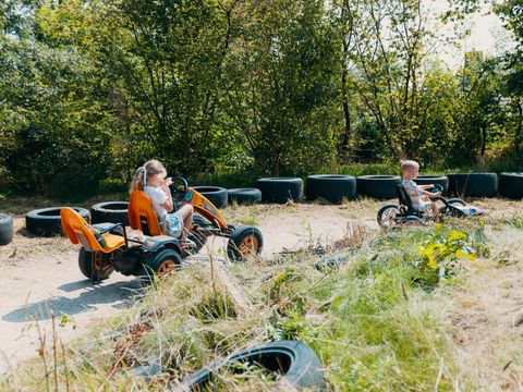 Vakantiepark Sallandshoeve - Camping Raalte - Image N°2