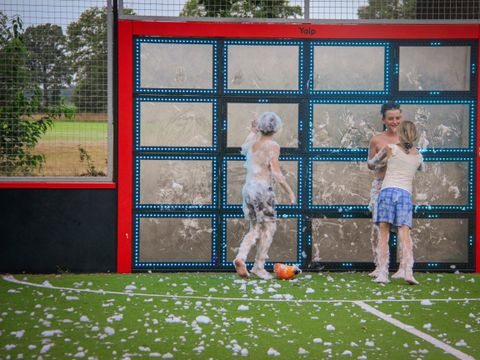 Vakantiepark Sallandshoeve - Camping Raalte - Image N°4