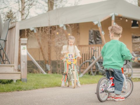 Vakantiepark Sallandshoeve - Camping Raalte