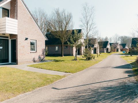 Vakantiepark Sallandshoeve - Camping Raalte - Image N°13