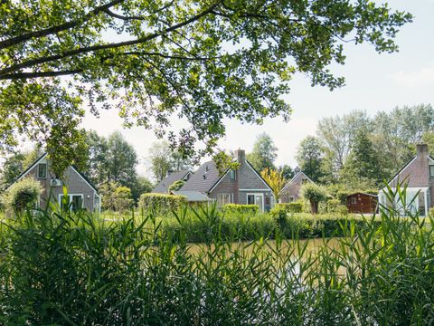 Vakantiepark Sallandshoeve - Camping Raalte - Image N°14