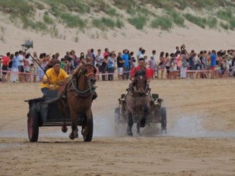 Camping Derby Loredo - Camping Cantabria