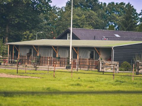 Vodatent Campingpark de Vuurkuil - Camping Apeldoorn