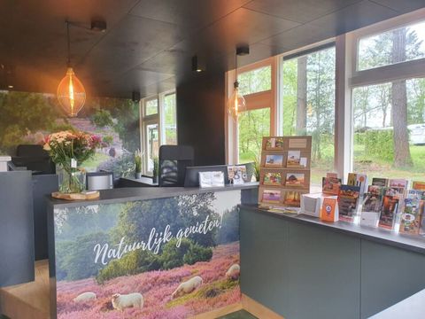 Vodatent Camping het Horstmannsbos - Camping Aa en Hunze - Image N°3