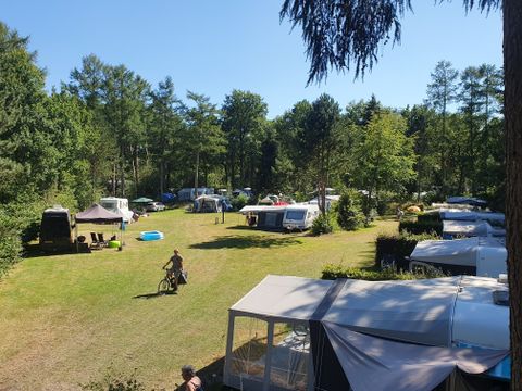 Vodatent Camping het Horstmannsbos - Camping Aa en Hunze - Image N°5