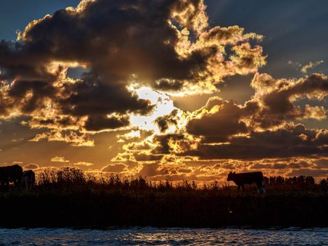 Vodatent Camping de Hof van Eeden - Camping Leiden
