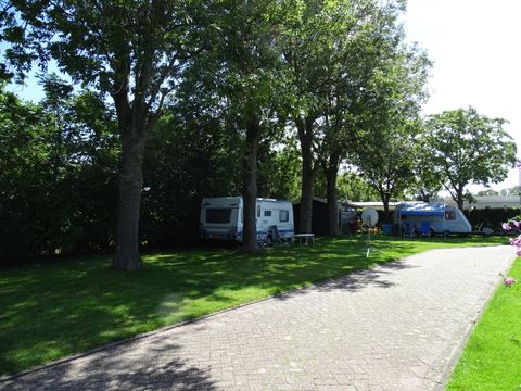 Vodatent Camping de Hof van Eeden - Camping Leiden - Image N°5