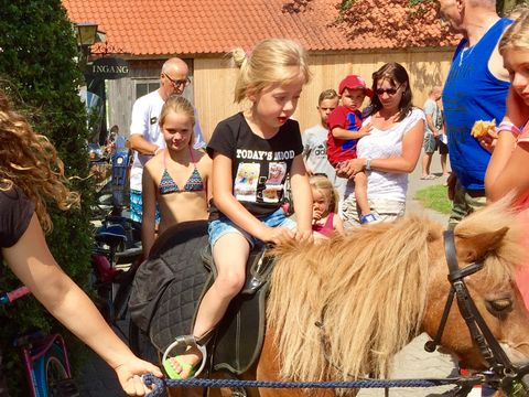 Vodatent Camping de Rammelbeek - Camping Dinkelland - Image N°5