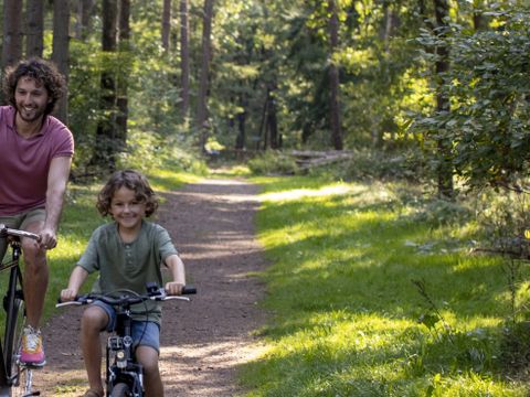 Vakantiepark het Timmerholt  - Camping Mitte-Drenthe