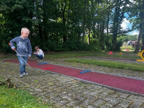 Vakantiepark het Timmerholt  - Camping Mitte-Drenthe