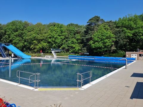 Vakantiepark het Timmerholt  - Camping Midden-Drenthe - Image N°2