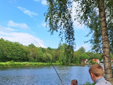 Vakantiepark het Timmerholt  - Camping Midden-Drenthe - Image N°3