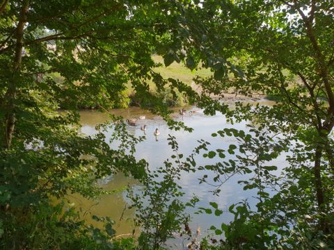 Vodatent Camping la Dolce Vita - Camping Voerendaal - Image N°4