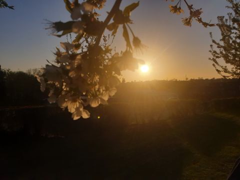 Vodatent Camping la Dolce Vita - Camping Voerendaal - Image N°5