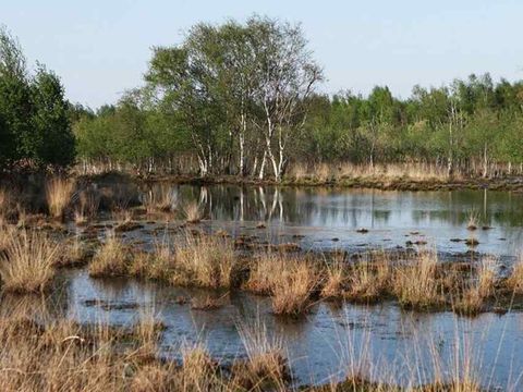 Vodatent Camping Emmen - Camping Emmen - Image N°5