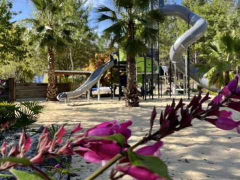 Camping L'Océane - Camping Landes