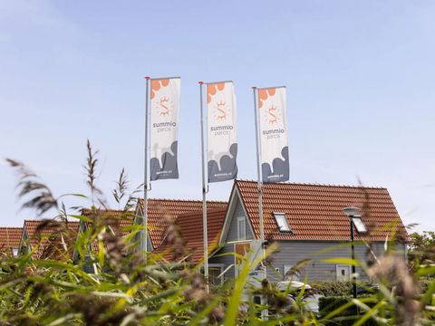 Summio Parc Aquadelta - Camping Schouwen-Duiveland - Image N°5