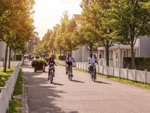 Summio Parc Aquadelta - Camping Schouwen-Duiveland