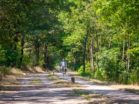 Roompot Recreatiepark De Tolplas - Camping Wierden