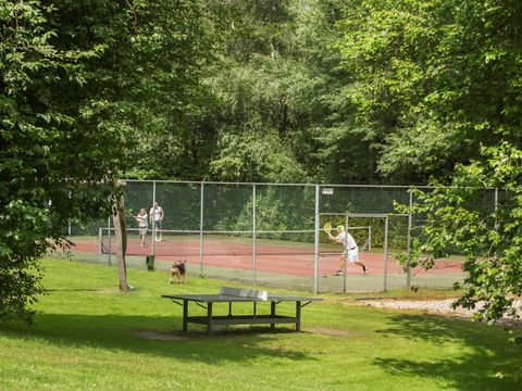 Landal Recreatiepark De Tolplas - Camping Wierden