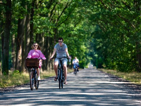 Landal Recreatiepark De Tolplas - Camping Wierden