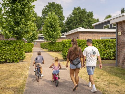 Landal Resort Arcen  - Camping Arcen - Image N°4