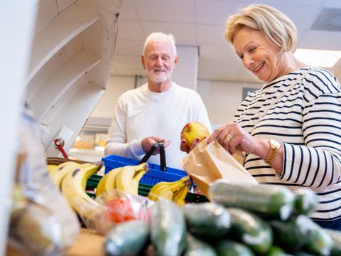 Landal Marinapark Volendam - Camping Edam-Volendam