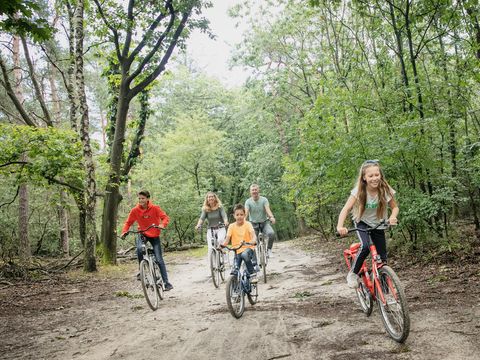 Landal Marinapark Volendam - Camping Edam-Volendam