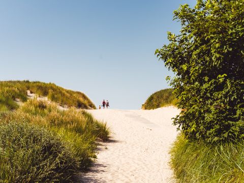 Landal Vakantiepark Boomhiemke - Camping Ameland - Image N°33