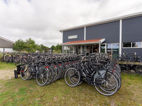 Landal Vakantiepark Boomhiemke - Camping Ameland