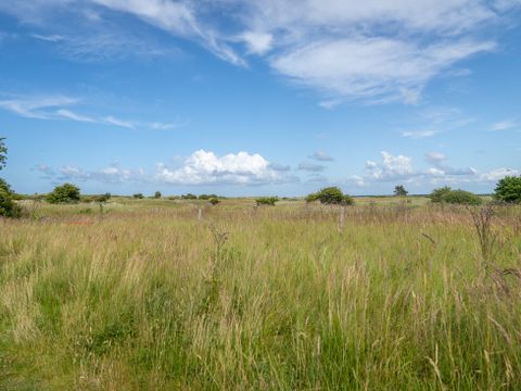 Landal Vakantiepark Boomhiemke - Camping Ameland - Image N°40