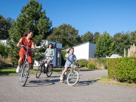 Landal Strandpark Duynhille - Camping Goeree-Overflakkee