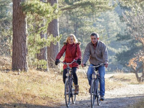 Roompot Eifelpark Kronenburger See - Camping Rhénanie du Nord-Westphalie