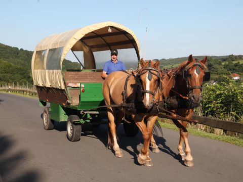 Roompot Eifelpark Kronenburger See - Camping Rhénanie du Nord-Westphalie