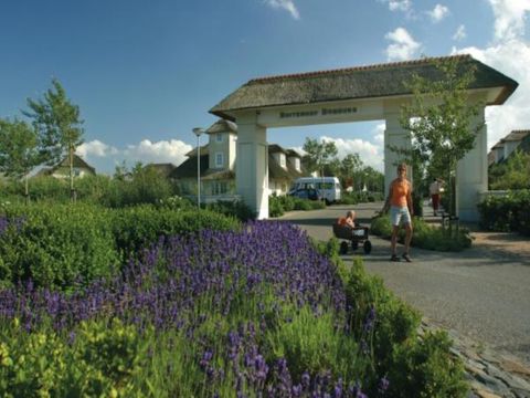 Landal Buitenhof Domburg - Camping Veere - Image N°3