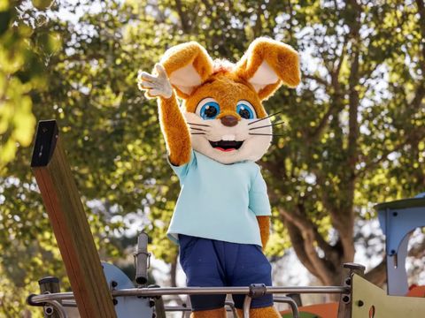 Roompot Hof Domburg - Camping Veere