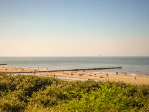 Landal Hof Domburg - Camping Veere