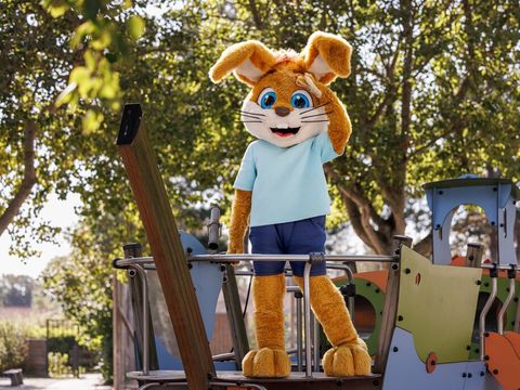 Roompot Hof Domburg - Camping Veere