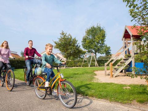 Landal De Soeten Haert - Camping Renesse - Image N°2